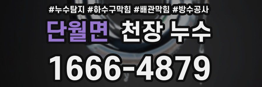 단월면 천장 누수