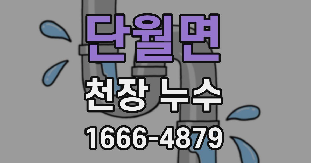 단월면 천장 누수