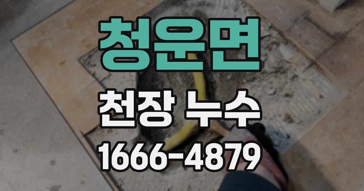 청운면 천장 누수