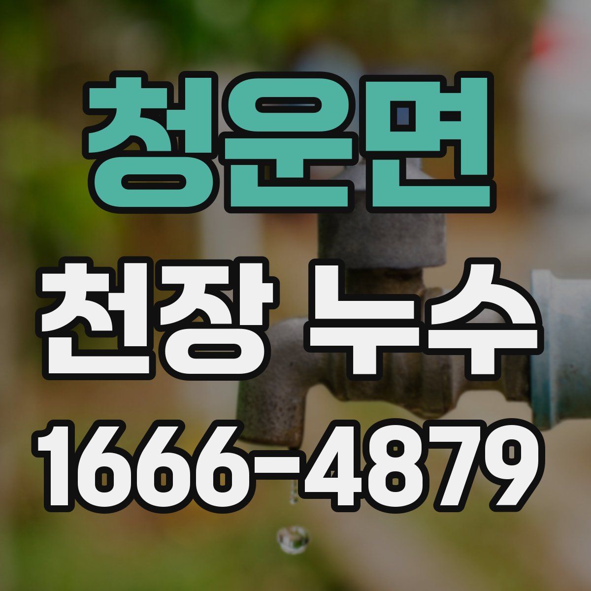 청운면 천장 누수