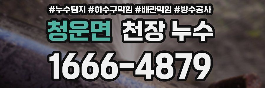 청운면 천장 누수