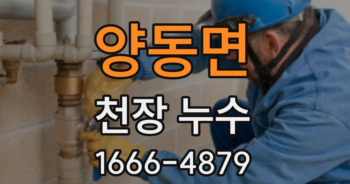 양동면 천장 누수