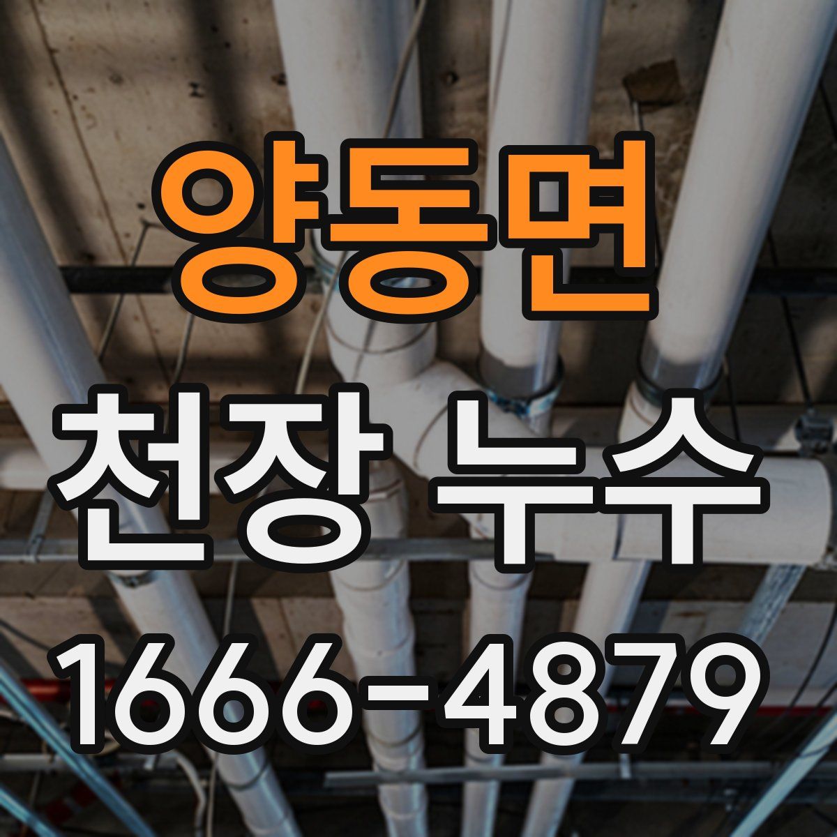 양동면 천장 누수
