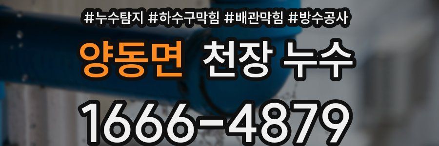 양동면 천장 누수