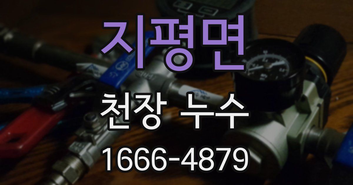 지평면 천장 누수