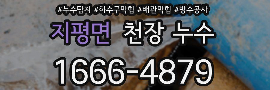 지평면 천장 누수