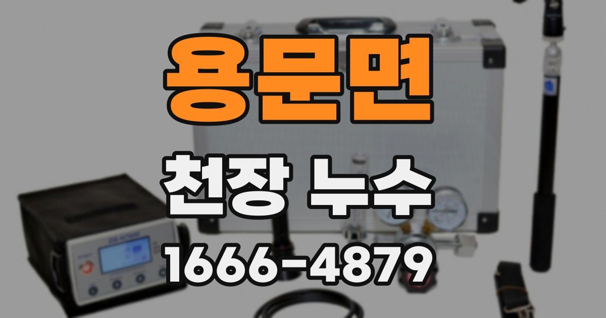 용문면 천장 누수
