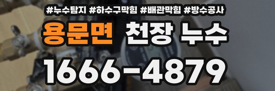 용문면 천장 누수