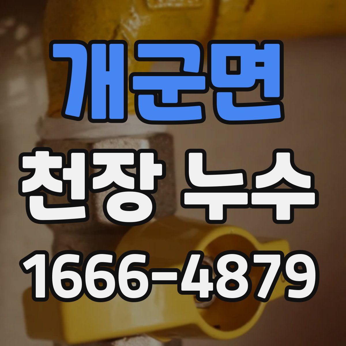 개군면 천장 누수