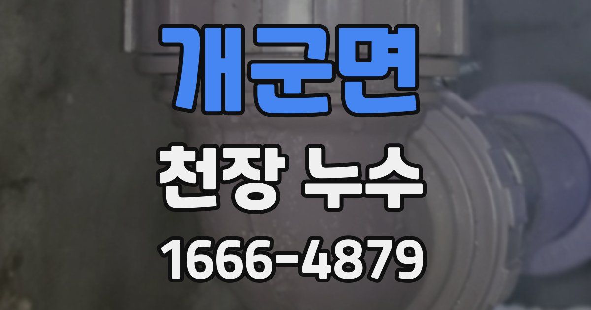 개군면 천장 누수