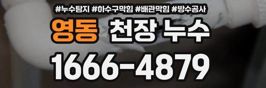 영동 천장 누수
