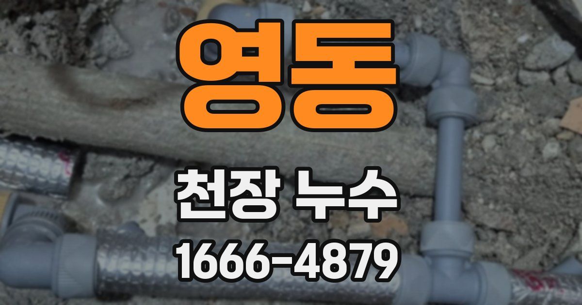 영동 천장 누수