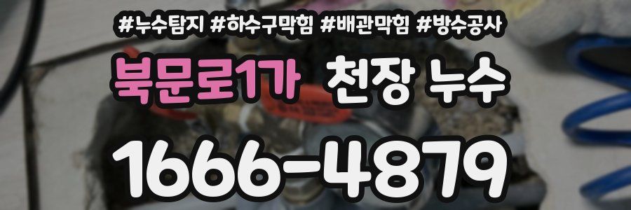 북문로1가 천장 누수