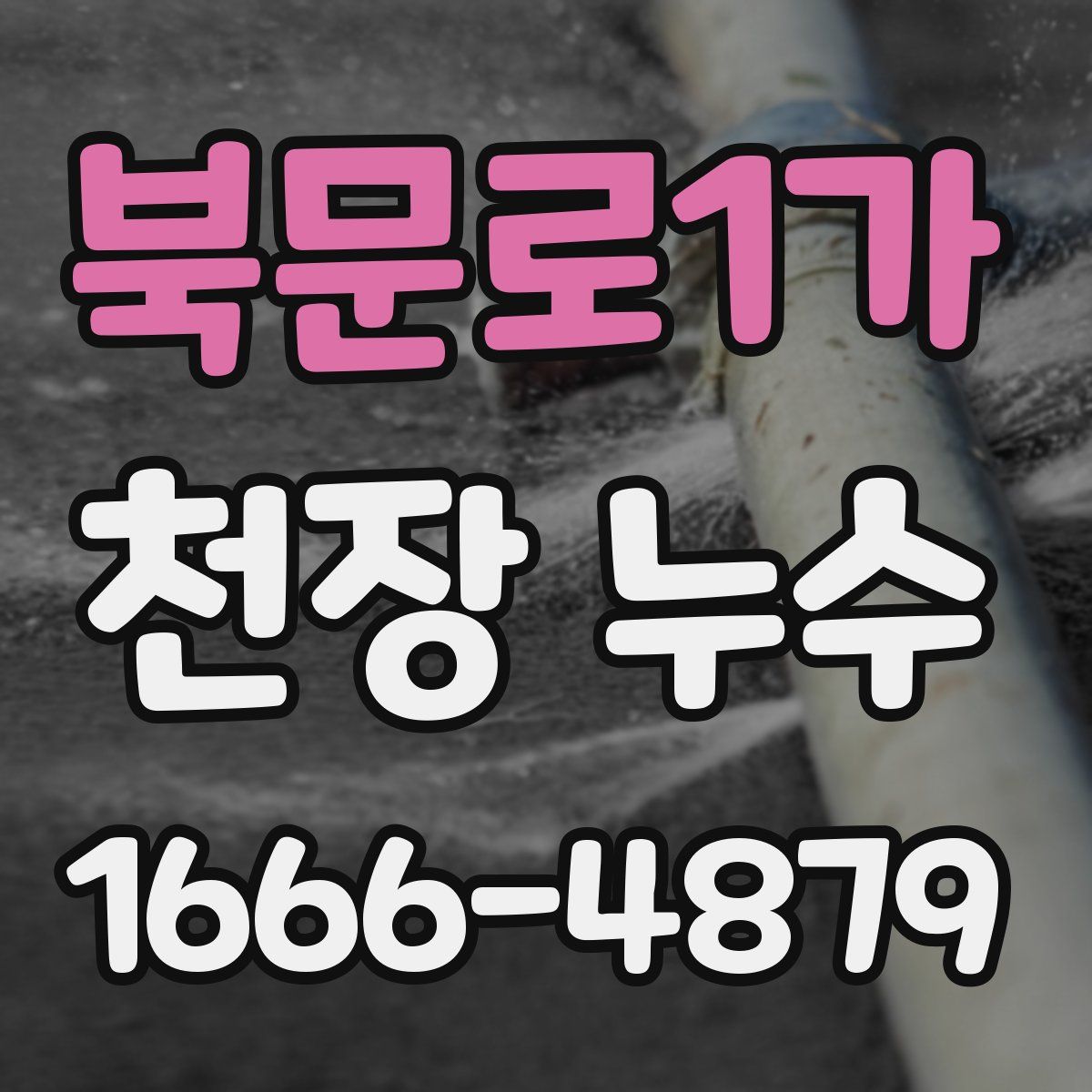 북문로1가 천장 누수