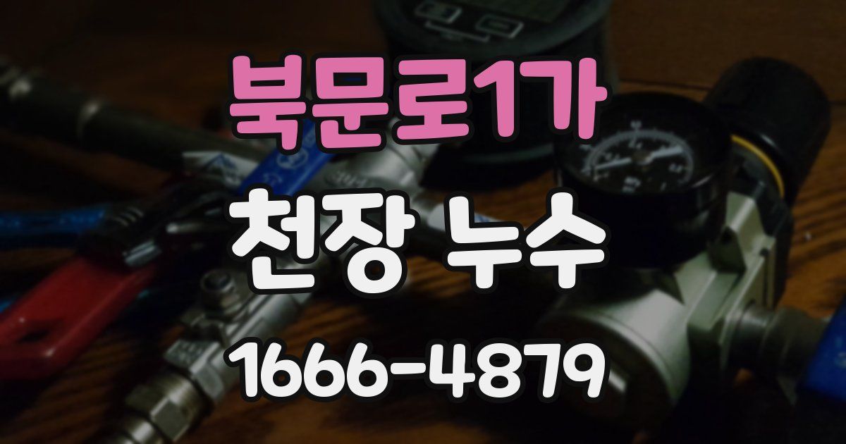 북문로1가 천장 누수