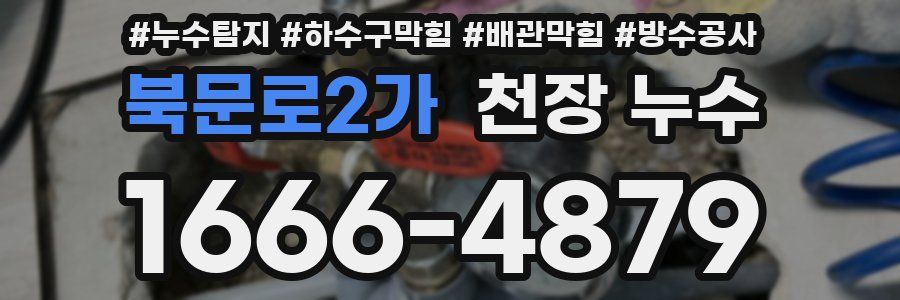 북문로2가 천장 누수