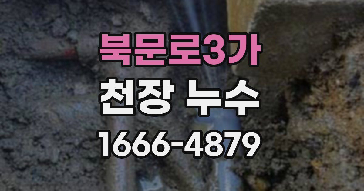 북문로3가 천장 누수