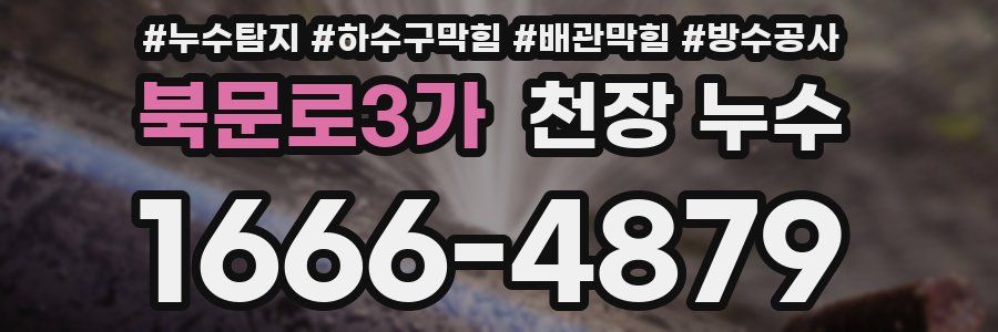 북문로3가 천장 누수