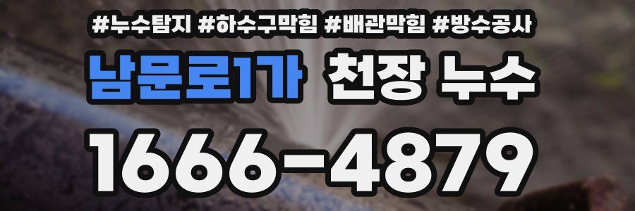 남문로1가 천장 누수