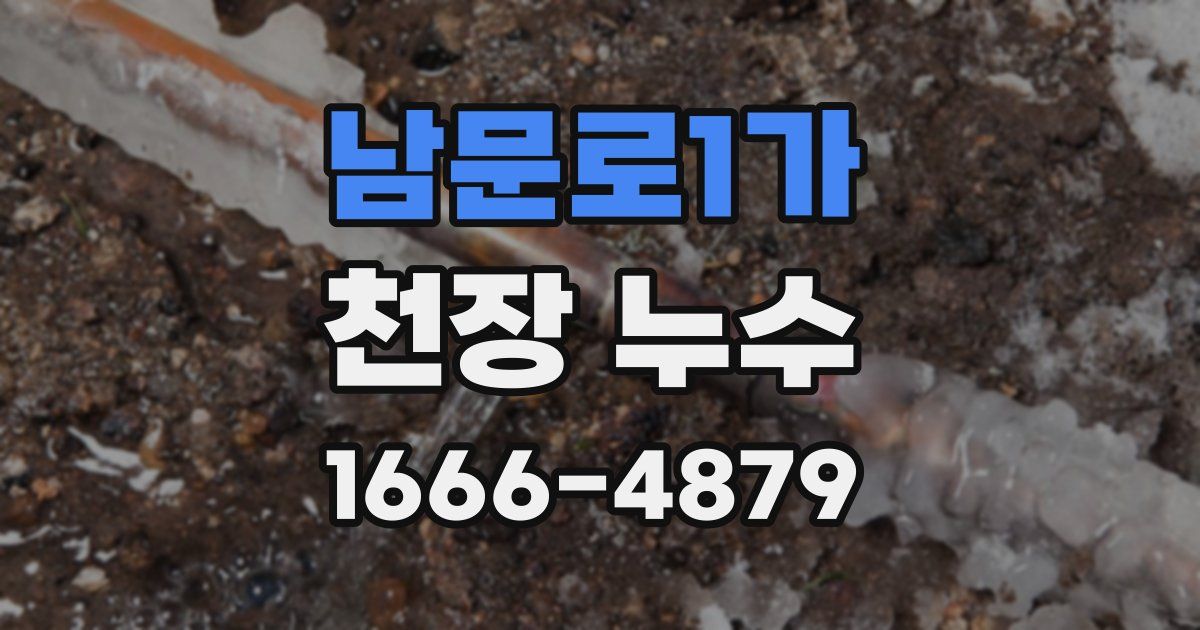 남문로1가 천장 누수