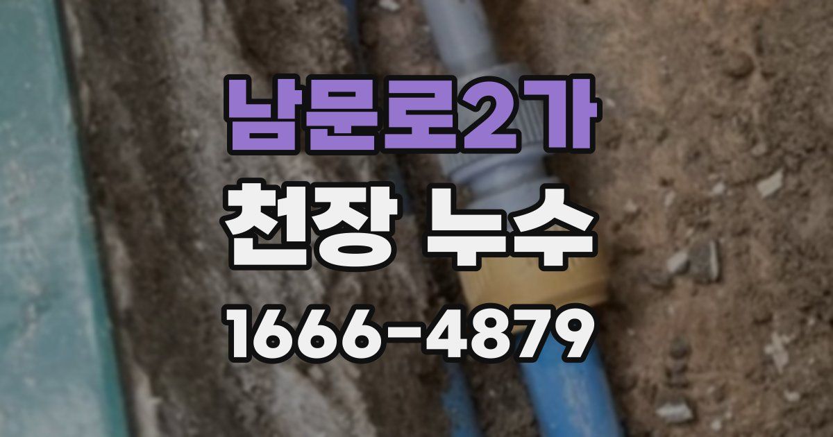 남문로2가 천장 누수