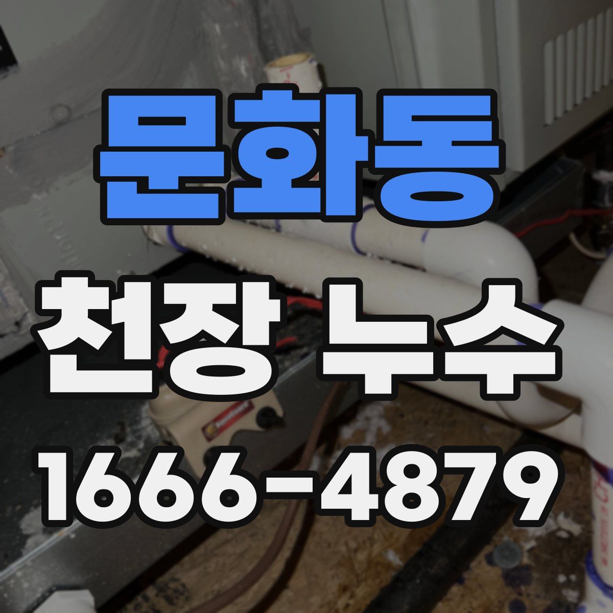 문화동 천장 누수