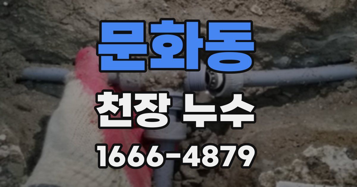 문화동 천장 누수