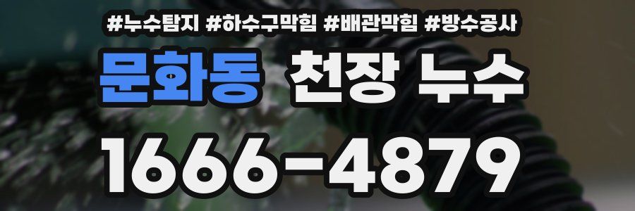 문화동 천장 누수