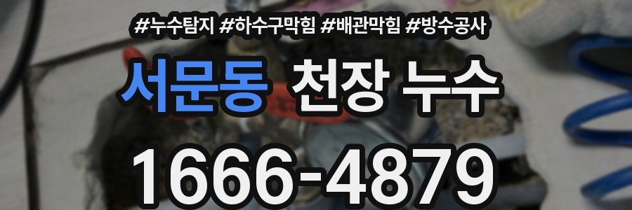 서문동 천장 누수
