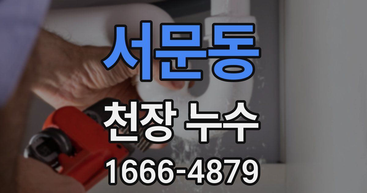서문동 천장 누수