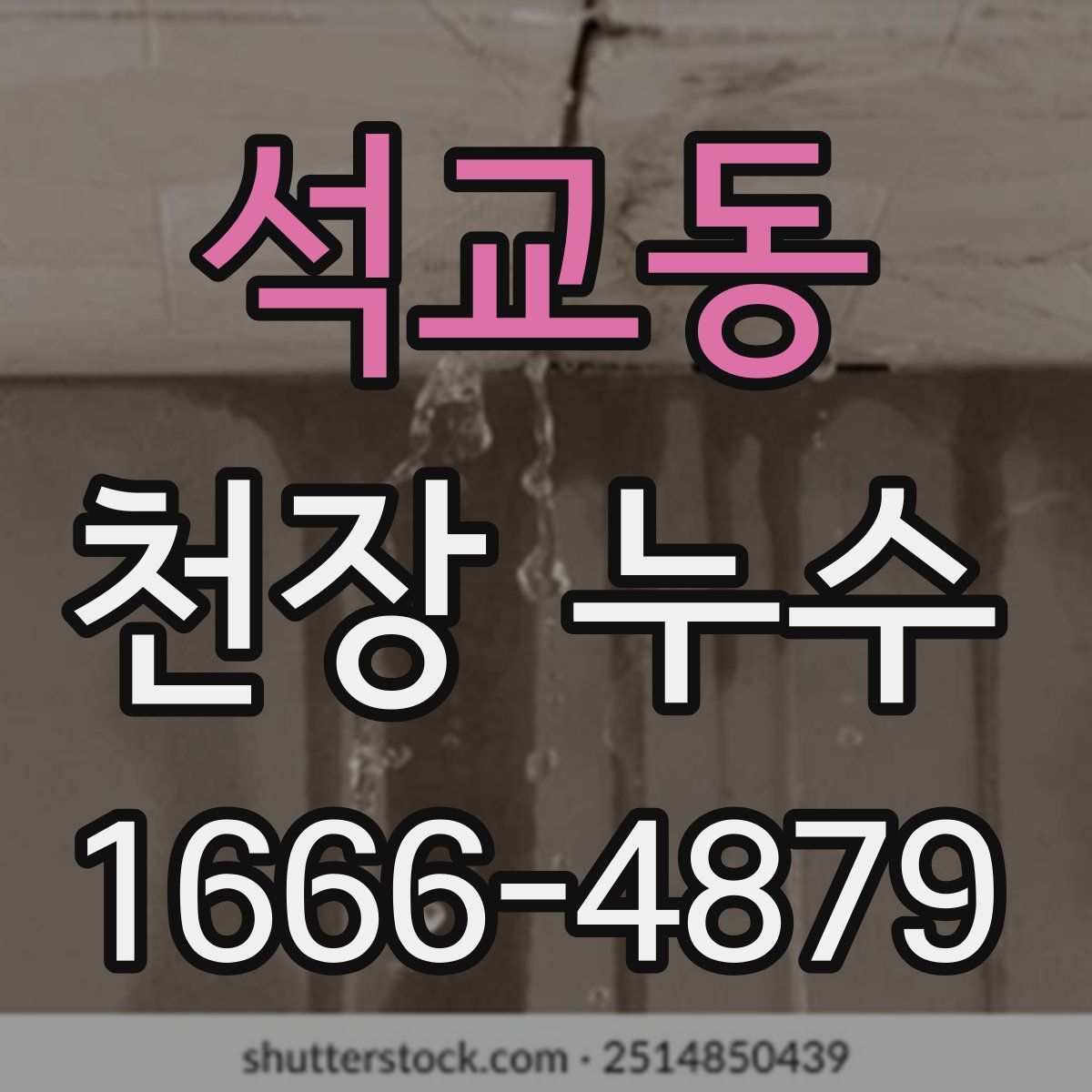 석교동 천장 누수