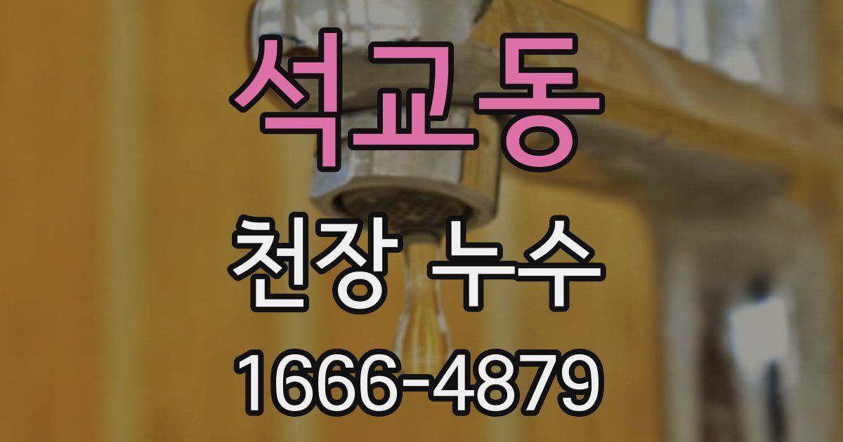석교동 천장 누수