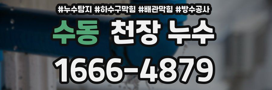 수동 천장 누수