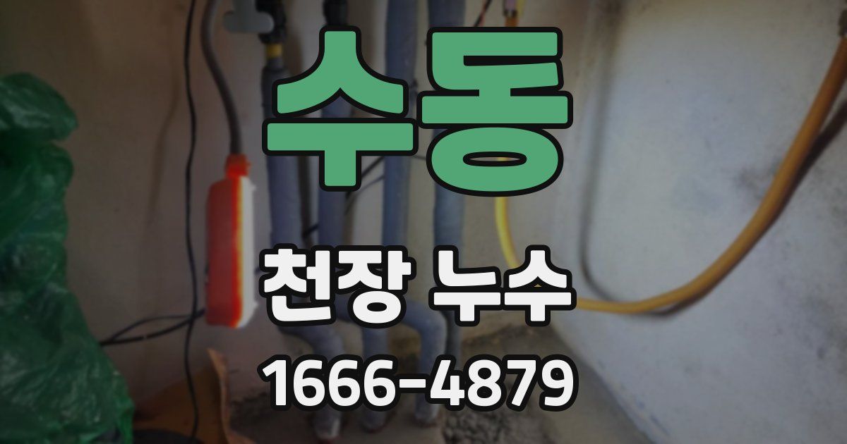 수동 천장 누수