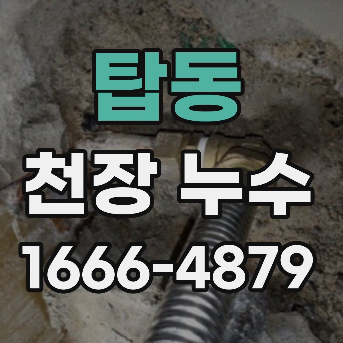 탑동 천장 누수