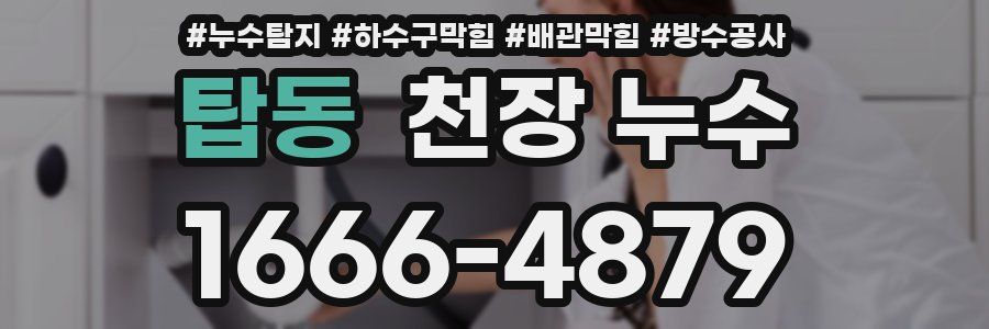 탑동 천장 누수
