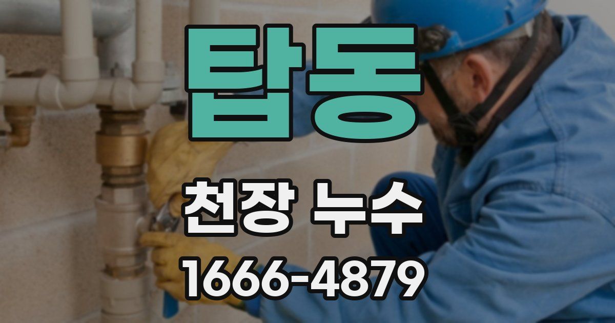 탑동 천장 누수