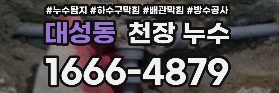 대성동 천장 누수