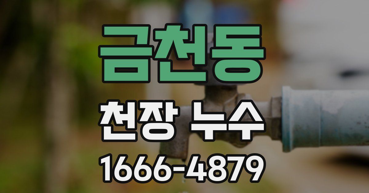 금천동 천장 누수