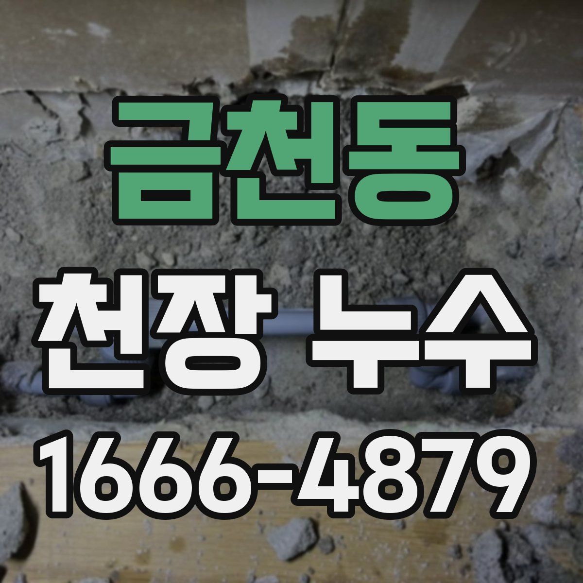 금천동 천장 누수