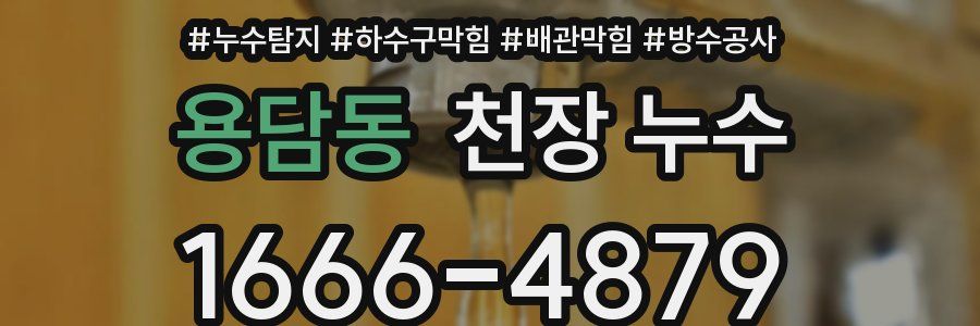 용담동 천장 누수