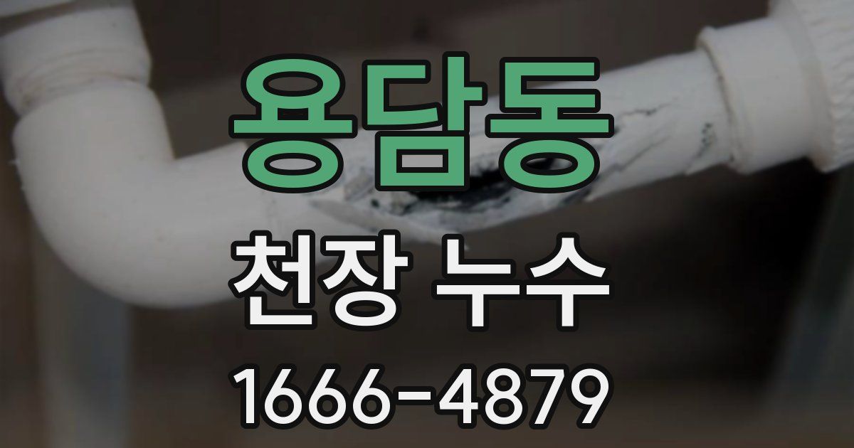 용담동 천장 누수