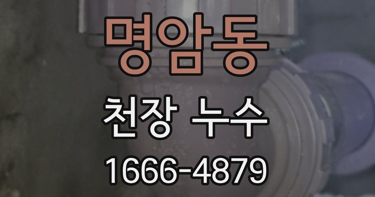 명암동 천장 누수