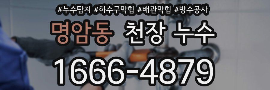 명암동 천장 누수