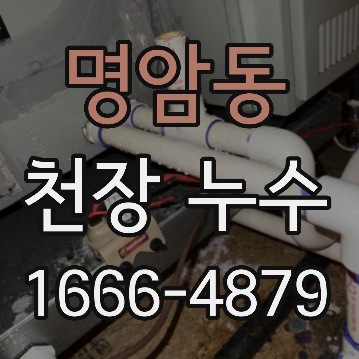 명암동 천장 누수