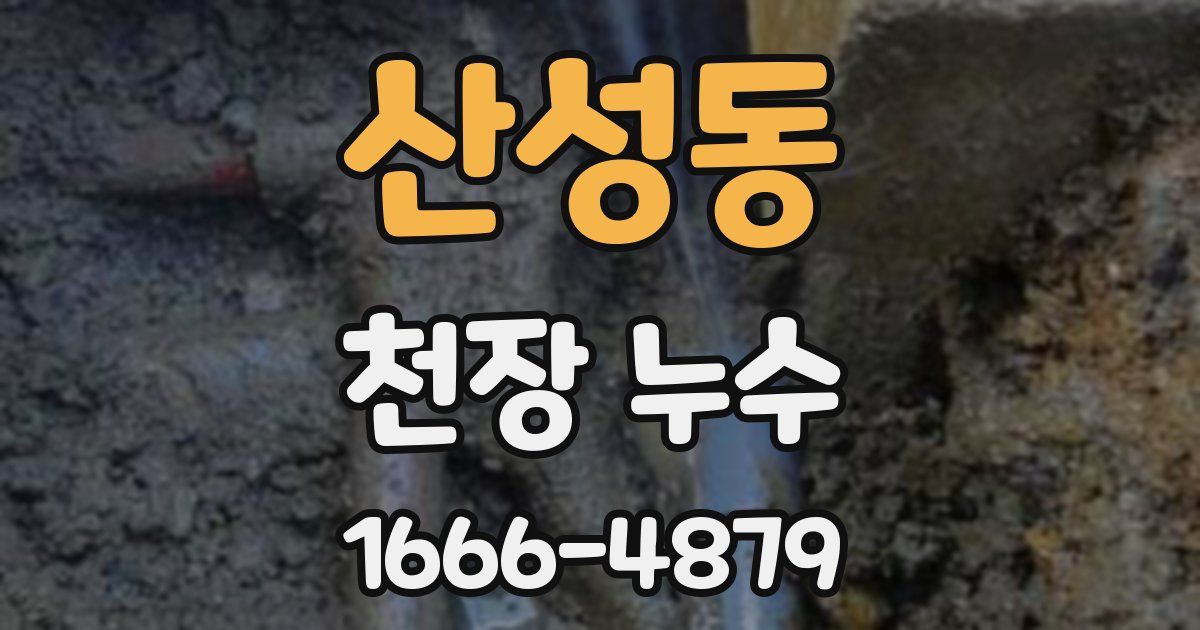 산성동 천장 누수