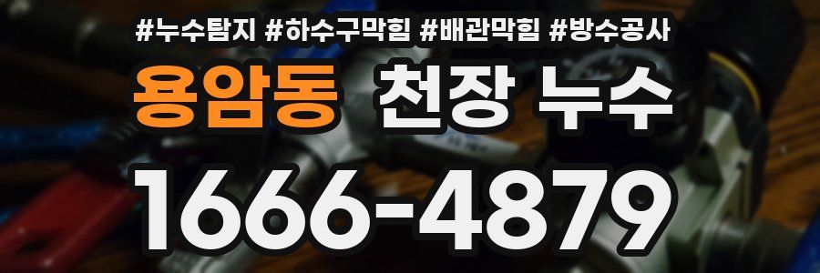 용암동 천장 누수