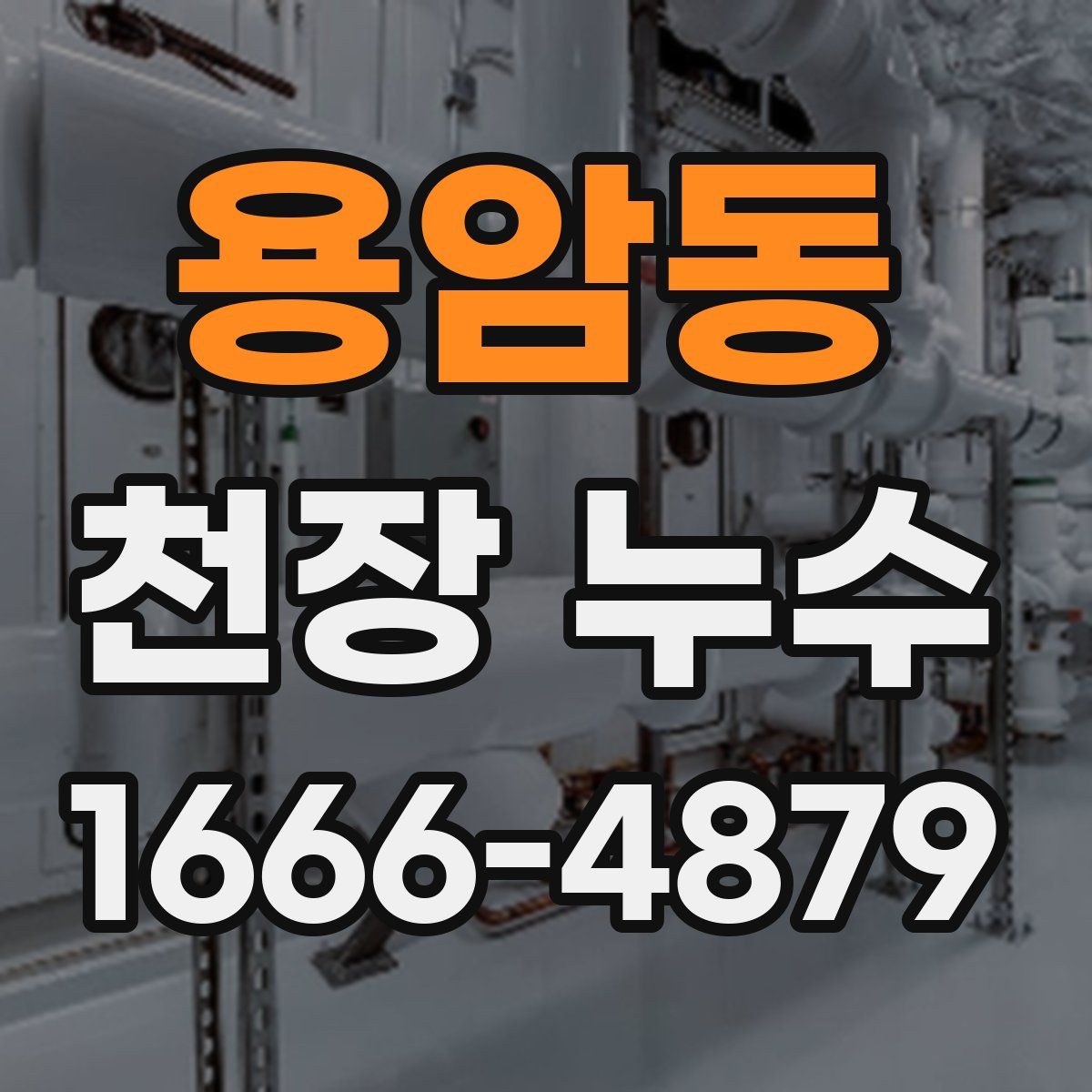 용암동 천장 누수