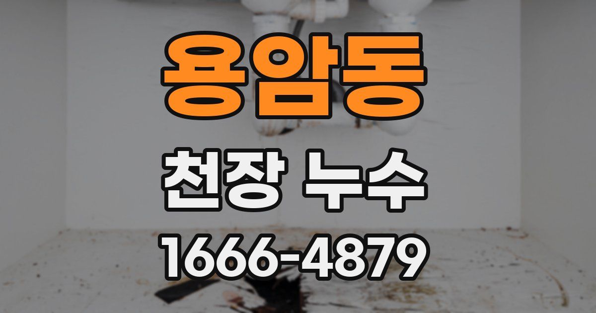 용암동 천장 누수