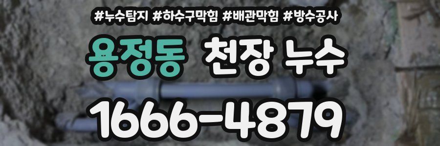 용정동 천장 누수